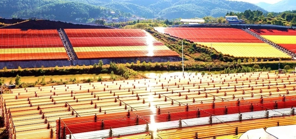 愛爾發蝦青素，讓健康觸手可及！